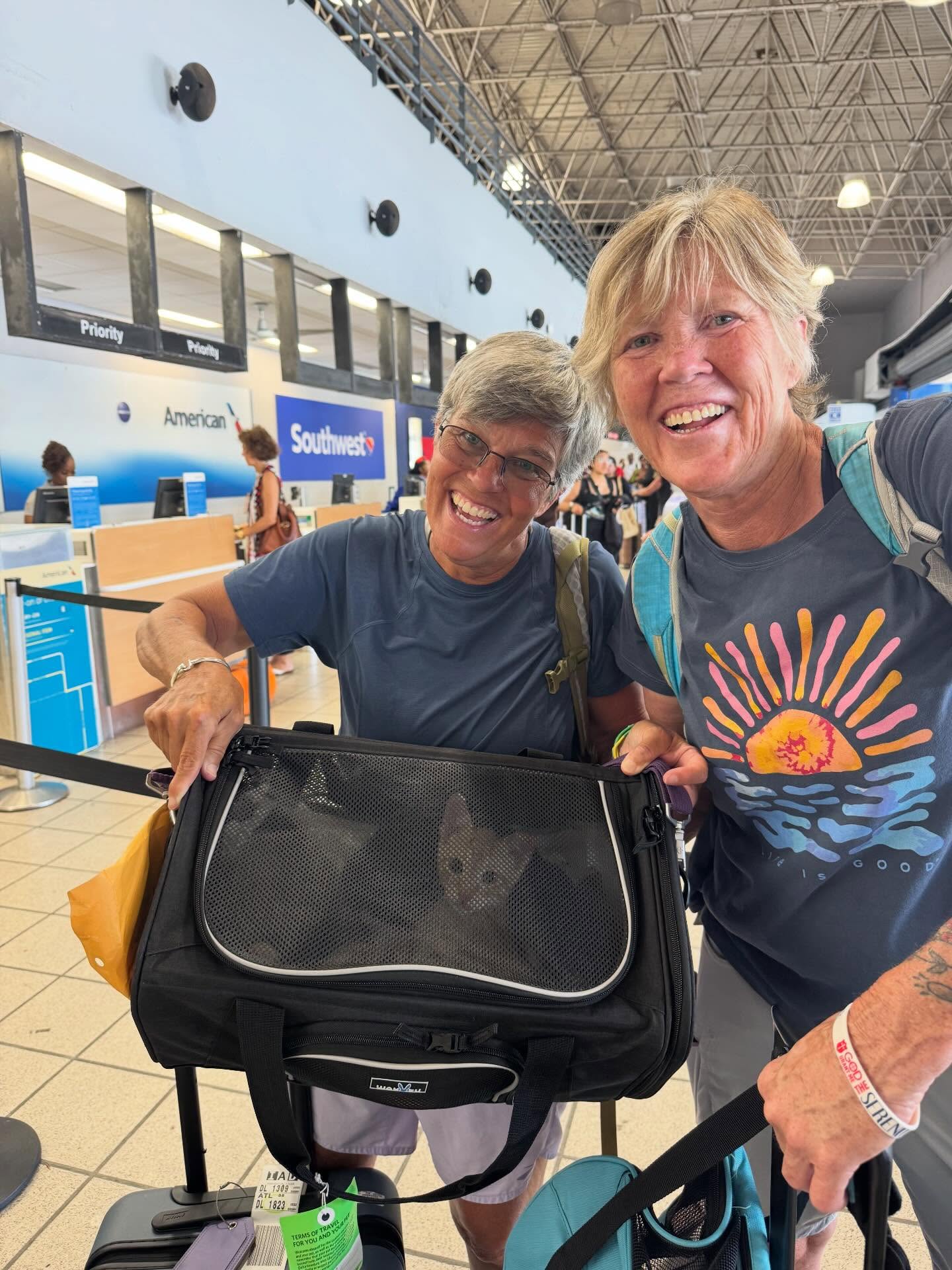 Volunteer travelers escort a cat to the U.S. mainland