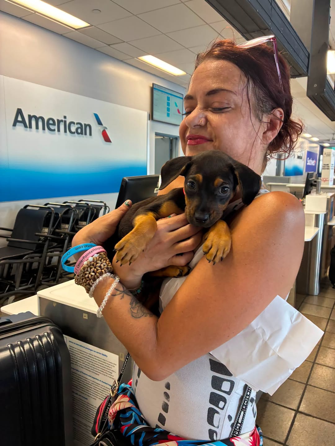 Mira, an shelter puppy in need of medical assistance, gets an escort to the U.S. mainland for help.